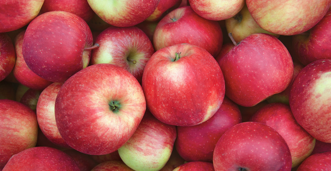 Fall Apple Guide: The Best Varieties to Bake, Cook, Blend, and Eat