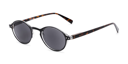 The Loft Reading Sunglasses