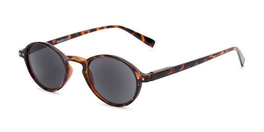 The Loft Reading Sunglasses