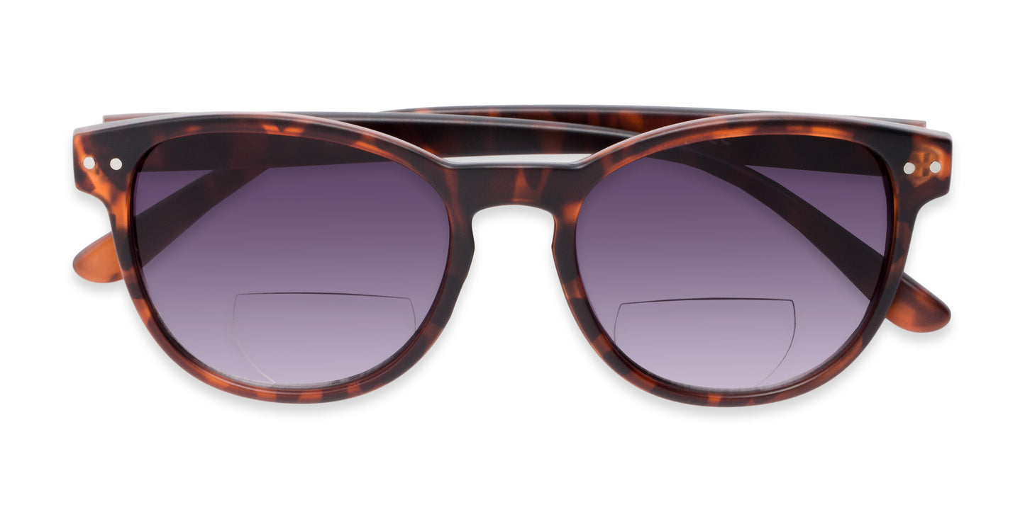 The Vale Bifocal Reading Sunglasses